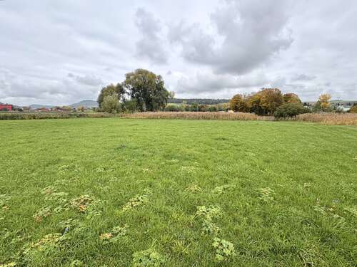 Foto - Grundstück in Bopfingen Trochtelfingen 40.000,00 € 4426 m²