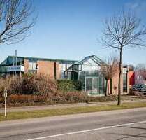 Halle in Erkelenz 1.245,00 € 81 m²
