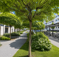 Wohnung zum Kaufen in Potsdam 598.000,00 € 94 m² Wohnung zum Kaufen in Potsdam 598.000,00 € 94 m²