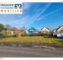 Grundstück zu verkaufen in Geisenheim 495.000,00 € 925 m²