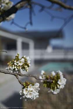 Foto - Haus zum Kaufen in Speyer 975.000,00 € 177 m²