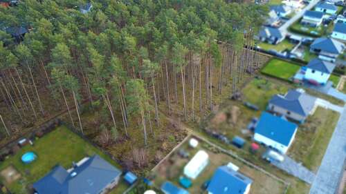 Foto - Grundstück zu verkaufen in Borkwalde 259.000,00 € 1163 m²