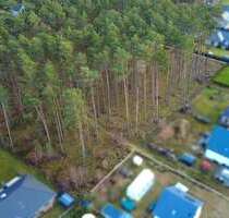 Grundstück zu verkaufen in Borkwalde 259.000,00 € 1163 m²