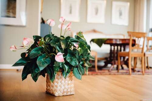 Foto - Wohnung zum Kaufen in Köln 535.000,00 € 98 m²