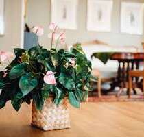 Wohnung zum Kaufen in Köln 535.000,00 € 98 m²