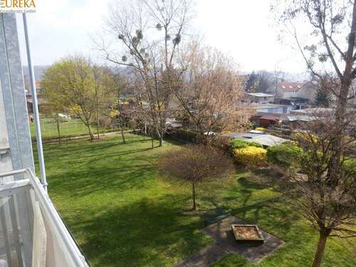 Foto - Wohnung zum Mieten in Dresden 400,00 € 48.72 m²