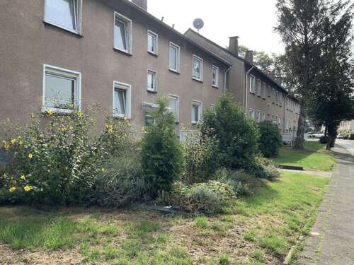 Foto - Wohnung zum Mieten in Duisburg 359,00 € 37.52 m²