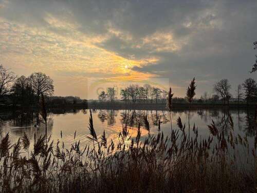 Foto - Spezialgewerbe in Altenburg Nobitz 1.150.000,00 € 164581 m²