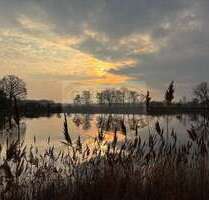 Spezialgewerbe in Altenburg Nobitz 1.150.000,00 € 164581 m²