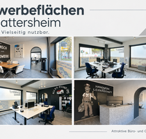 Büro in Hattersheim 750,00 € 55 m²