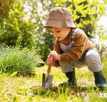 Haus zum Kaufen in Zülpich 589.251,00 € 136 m²