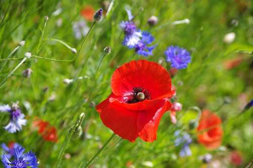 Foto - Grundstück zu verkaufen in München 950.000,00 € 425 m²