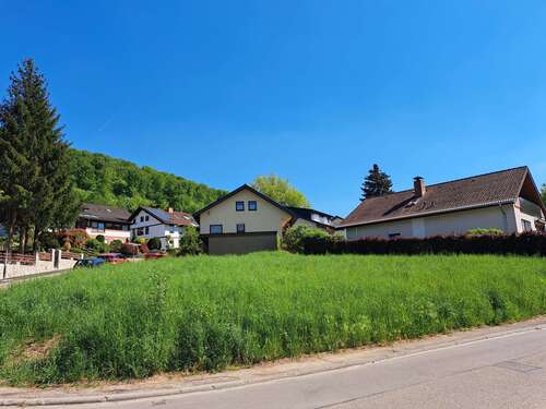 Foto - Grundstück zu verkaufen in Neckargemünd 275.000,00 € 553 m²