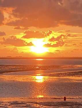 Foto - Wohnung zum Kaufen in Norden-Norddeich 269.000,00 € 33.33 m²