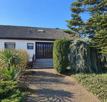 Haus zum Kaufen in Ellerstadt 699.000,00 € 250 m²