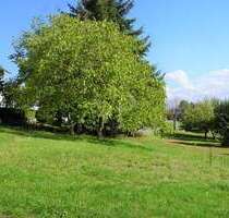 Grundstück zu verkaufen in Flieden 129.000,00 € 1634 m²