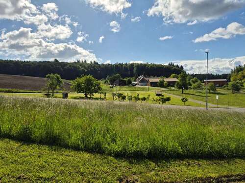 Foto - Grundstück zu verkaufen in Allensbach 330.000,00 € 709 m²