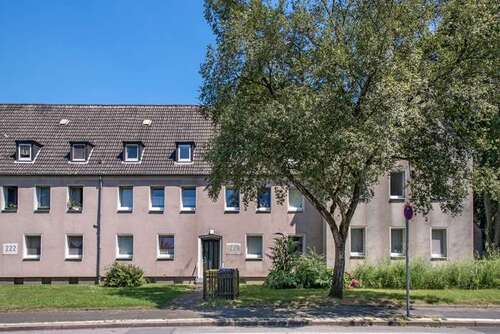 Foto - Wohnung zum Mieten in Gelsenkirchen 279,00 € 35 m²