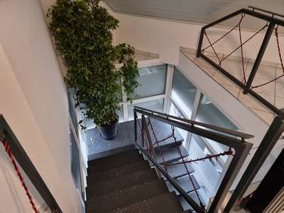 Foto - Haus zum Kaufen in Zweibrücken 695.000,00 € 950 m²