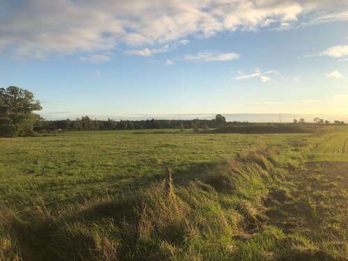 Foto - Grundstück zu verkaufen in Marlow 102.480,00 € 915 m²