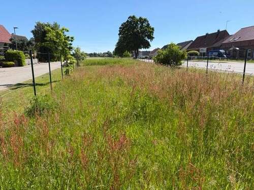 Foto - Grundstück zu verkaufen in Neu Brenz 43.000,00 € 1423 m²