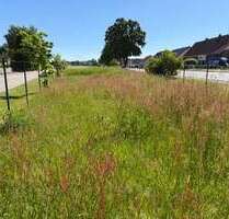 Grundstück zu verkaufen in Neu Brenz 43.000,00 € 1423 m²