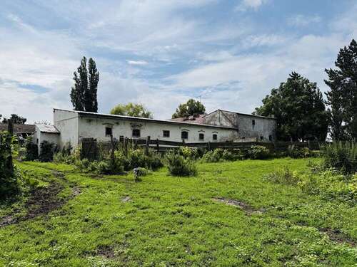 Foto - Spezialgewerbe in Seelow 270.000,00 € 300 m²
