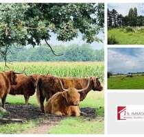 Spezialgewerbe in Seelow 270.000,00 € 300 m²