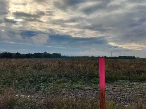 Foto - Grundstück zu verkaufen in Groß Santersleben 107.660,00 € 769 m²