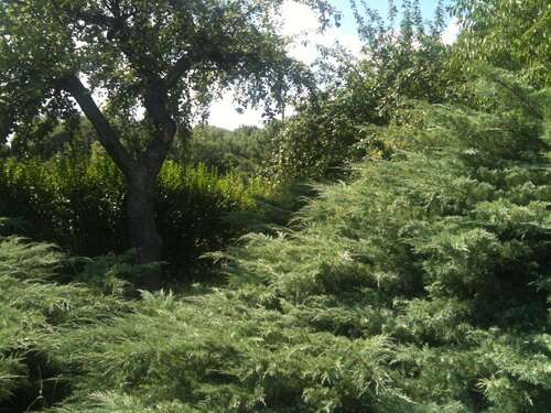 Foto - Haus zum Kaufen in Hönow 521.200,00 € 126 m²