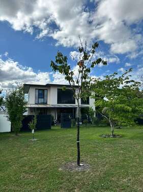 Foto - Haus zum Kaufen in Bad Dürrheim 980.000,00 € 201.7 m²