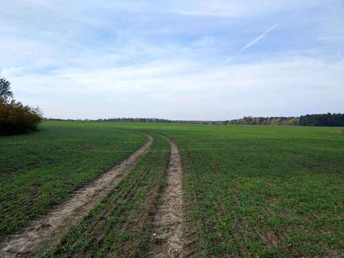 Foto - Grundstück zu verkaufen in Stahnsdorf Güterfelde 49.000,00 € 10370 m²