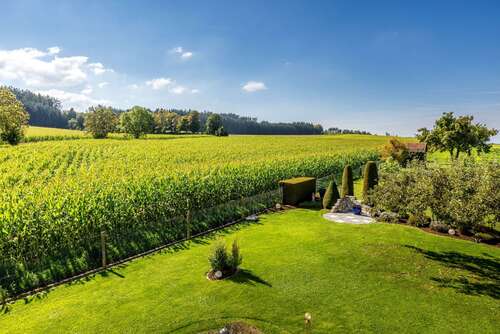 Foto - Haus zum Kaufen in Pöttmes 799.000,00 € 200 m²