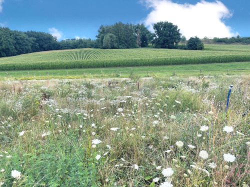 Foto - Grundstück zu verkaufen in Odelzhausen 279.000,00 € 393 m²