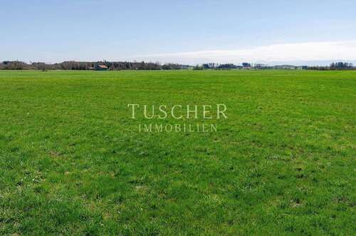 Foto - Grundstück zu verkaufen in Frauenneuharting 630.000,00 € 42118 m²