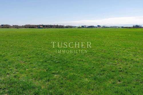 Foto - Grundstück in Frauenneuharting 630.000,00 € 42118 m²