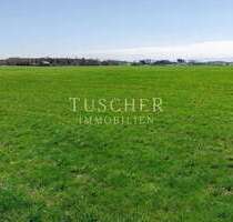 Grundstück in Frauenneuharting 315.000,00 € 21059 m²