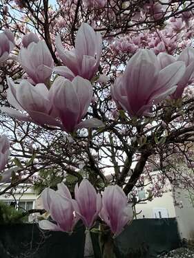 Foto - Wohnung zum Mieten in Leimen 1.050,00 € 90 m²