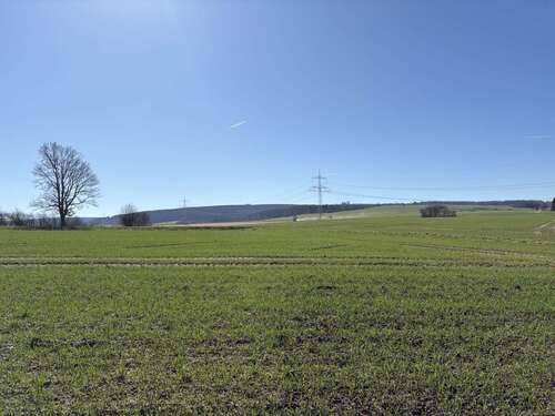 Foto - Grundstück zu verkaufen in Hülsede Meinsen 318.800,00 € 1594 m²