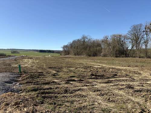 Foto - Grundstück zu verkaufen in Hülsede Meinsen 318.800,00 € 1594 m²