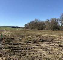 Grundstück zu verkaufen in Hülsede Meinsen 318.800,00 € 1594 m² - Hülsede / Meinsen