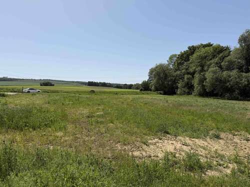 Foto - Grundstück zu verkaufen in Hülsede Meinsen 318.800,00 € 1594 m²