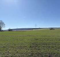 Grundstück zu verkaufen in Hülsede Meinsen 318.800,00 € 1594 m² - Hülsede / Meinsen