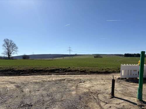 Foto - Grundstück zu verkaufen in Hülsede Meinsen 318.800,00 € 1594 m²