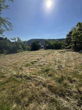 Foto - Grundstück zu verkaufen in Kreuzwertheim 119.000,00 € 627 m²