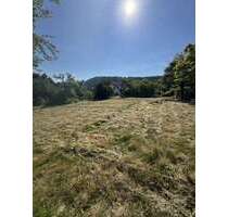 Grundstück zu verkaufen in Kreuzwertheim 119.000,00 € 627 m²