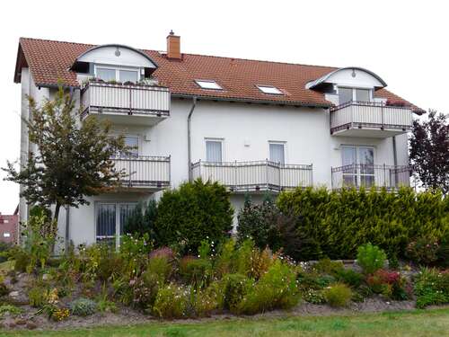 Foto - Wohnung zum Mieten in Cottbus 350,00 € 35 m²