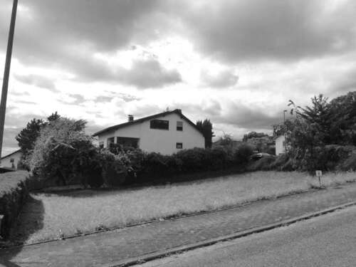 Foto - Grundstück zu verkaufen in Wolfsheim 200.000,00 € 625 m²