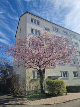 Foto - Wohnung zum Mieten in Glauchau 316,00 € 45.52 m²