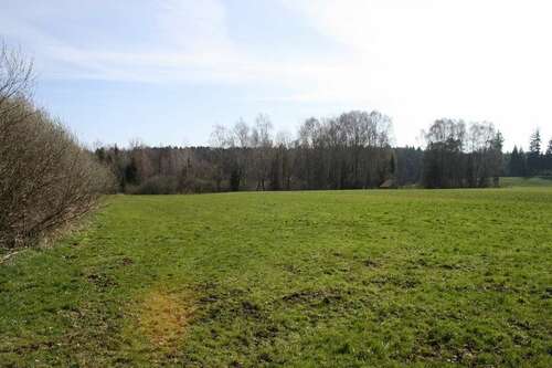 Foto - Grundstück in Ebersberg 105.000,00 € 5380 m²